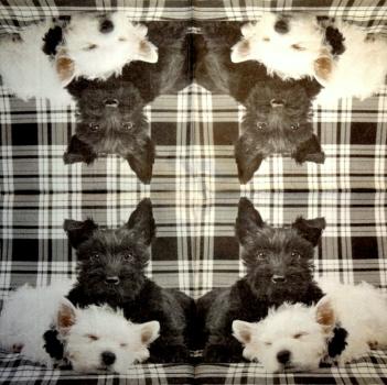 HUN-201 Dogs - 3-ply